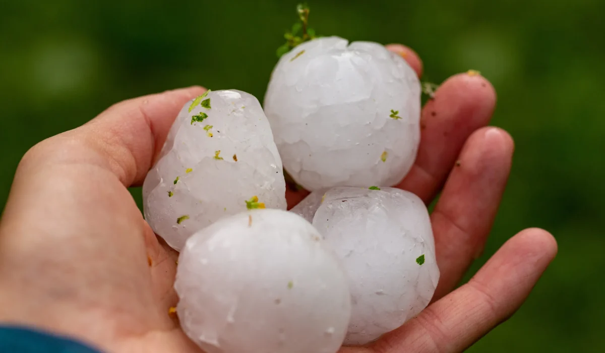 DuraShield Roofing & Contracting Your Local Hail Storm Damage Roofing Contractor for Residential & Commercial Roofs In Barrington IL